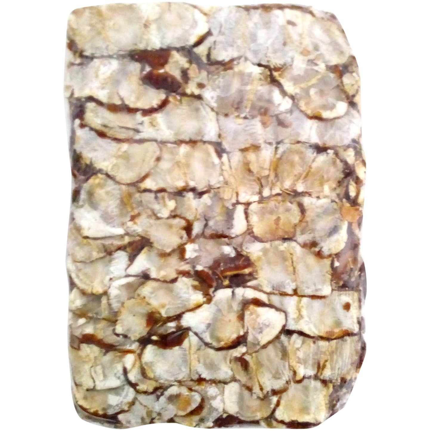 Goldy Cake Tamarind