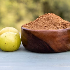 Amla Powder