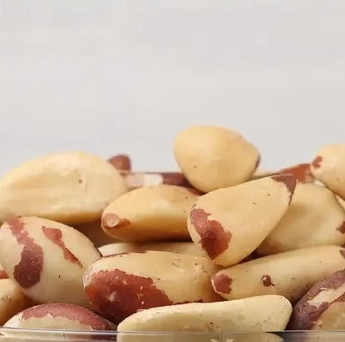 Brazillian Nut | Premium Jumbo Brazil Nuts