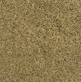 Cumin Jeera